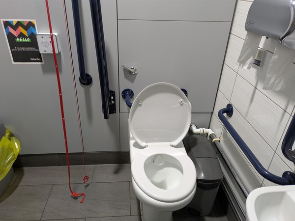 Image of a toilet with a red cord, and red emergency strip hanging from the ceiling