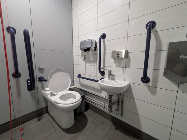 Image of accessible toilet and sink