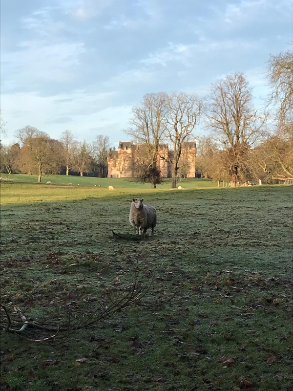 Picture of Fyvie Castle grounds