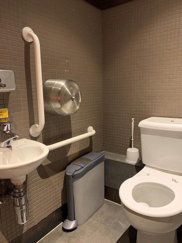 Image of toilet from door showing handrails, sink and toilet