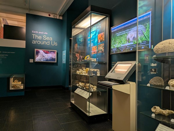 Image of sealife exhibit