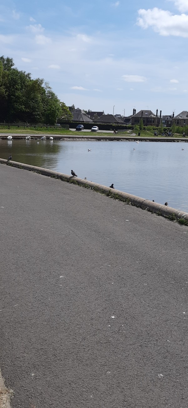 Barshaw Park, Paisley