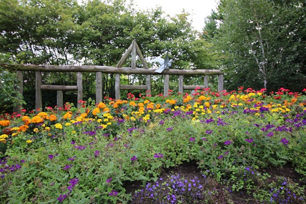 Elgin Biblical Garden
