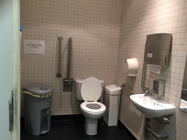 Picture of Dance Base - Accessible Toilet