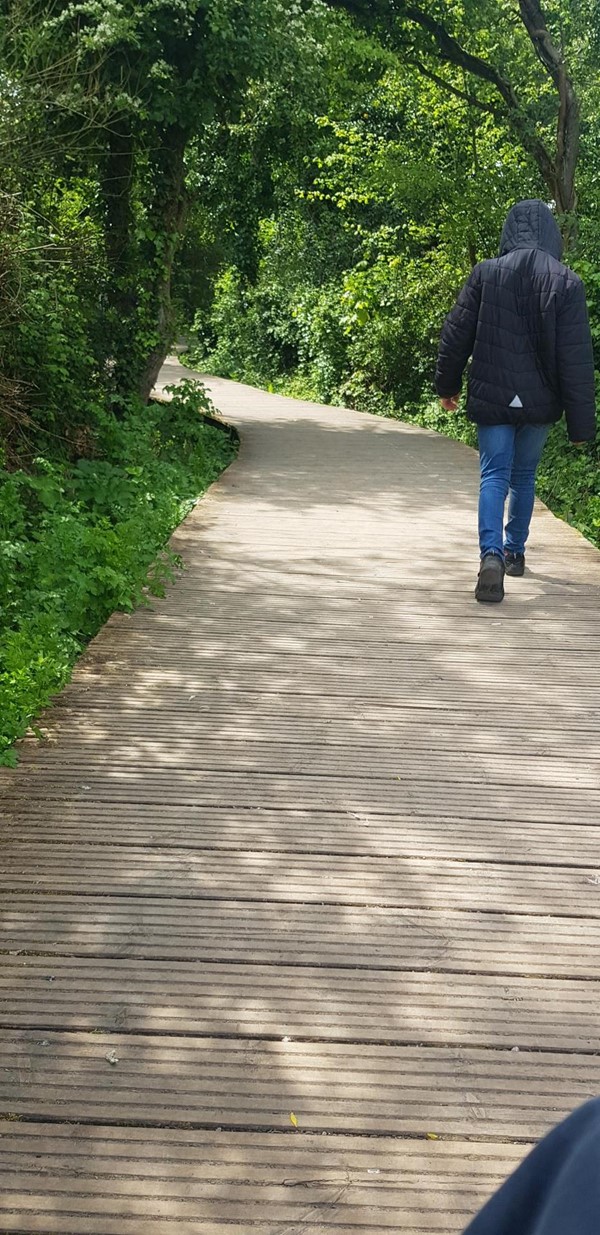 Picture of Cosmeston lakes country park