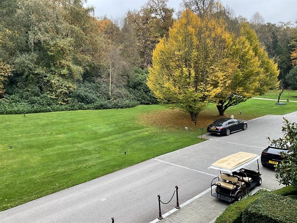 Image of a tree by a carpark