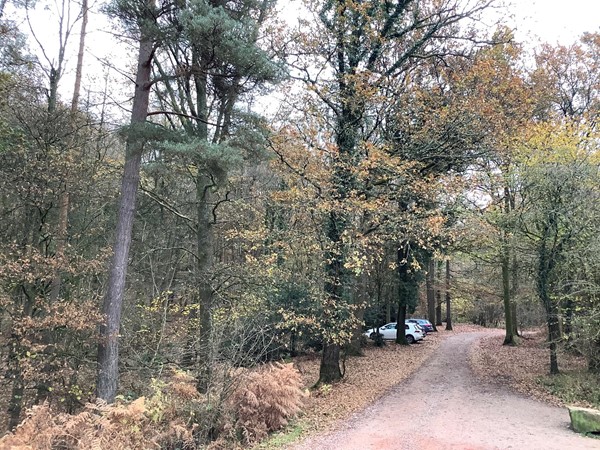 12 areas to park car