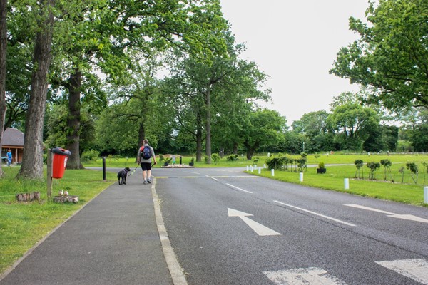 Main path into the site