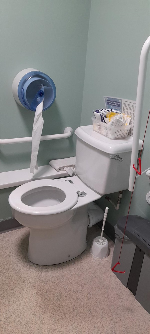 Image of an accessible toilet