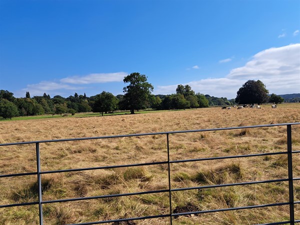 Image of Shugborough Estate - National Trust