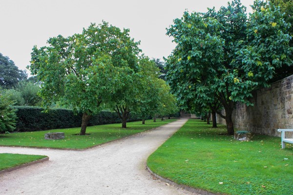 Path around the gardens made of compacted gravel.