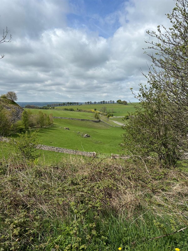 Image of a field