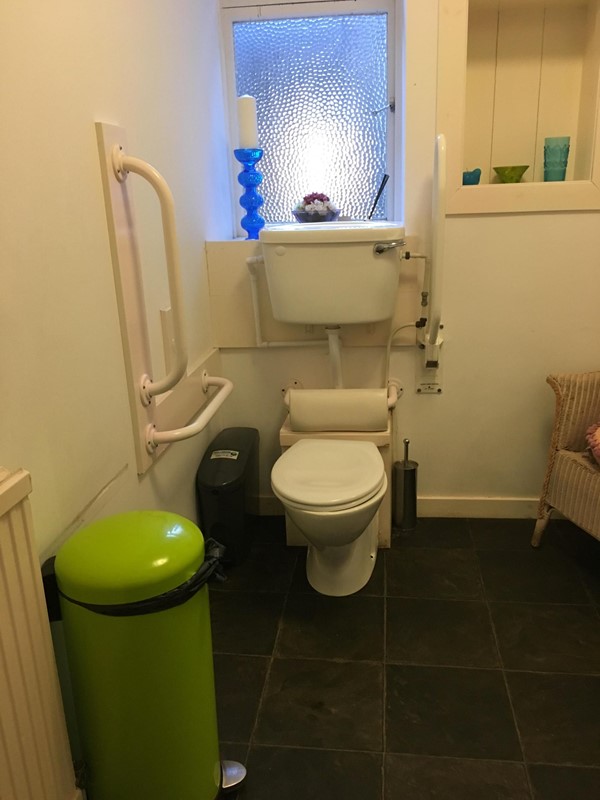 Image of toilet in accessible/baby changing toilet.