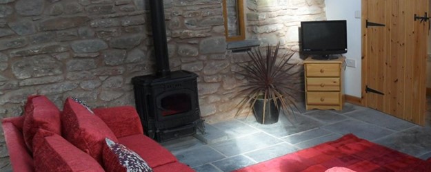 Disabled Access Day at Trehyddion Barns article image