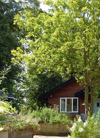 Petasfield Cottages