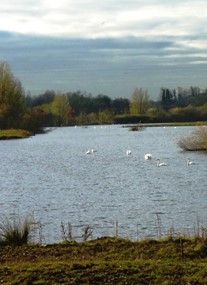 Staveley Nature Reserve