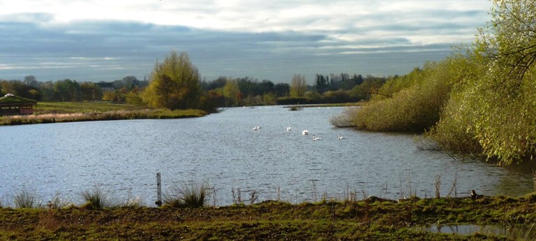 Staveley Nature Reserve