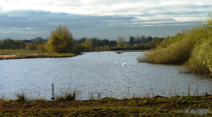 Staveley Nature Reserve