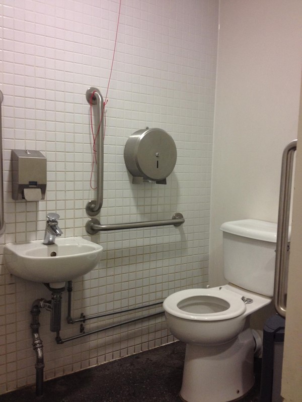 picture of Planetarium, Royal Observatory - Emergency cord tied up out of reach in the Planetarium's accessible toilet.