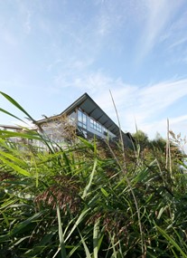 Attenborough Nature Reserve