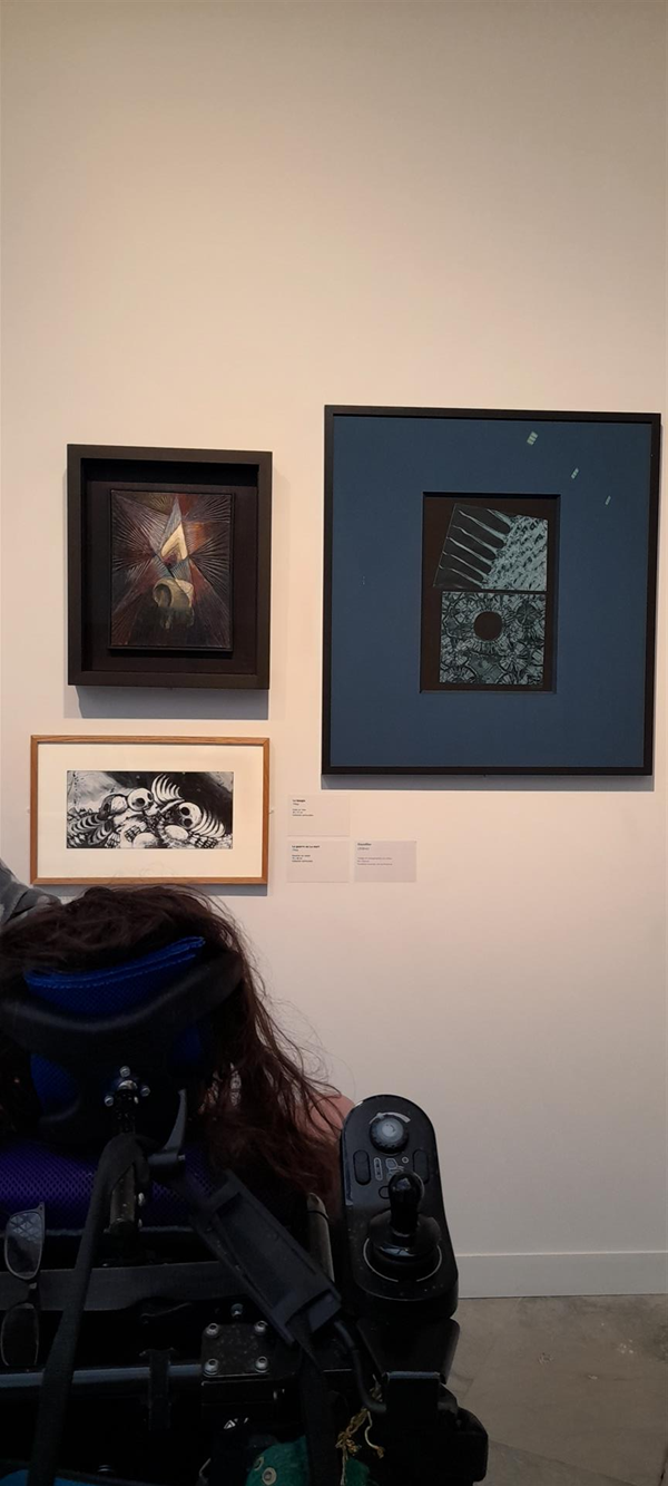 Image of a person looking at paintings