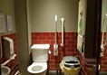Decent sized, clean with lots of handrails and alarm cords