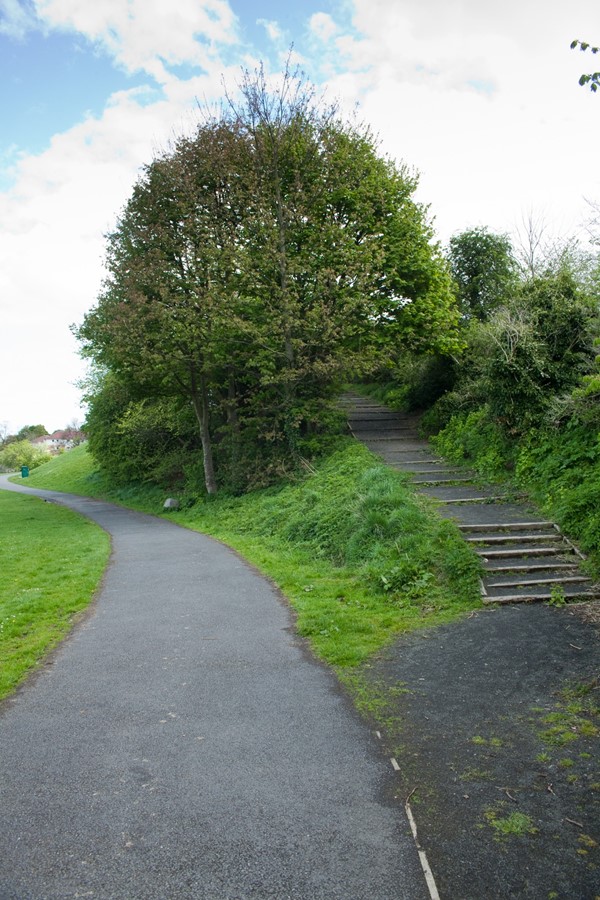 View of path in Redhall Park. On the right hand side there is a steep incline and steps between trees and bushes.
