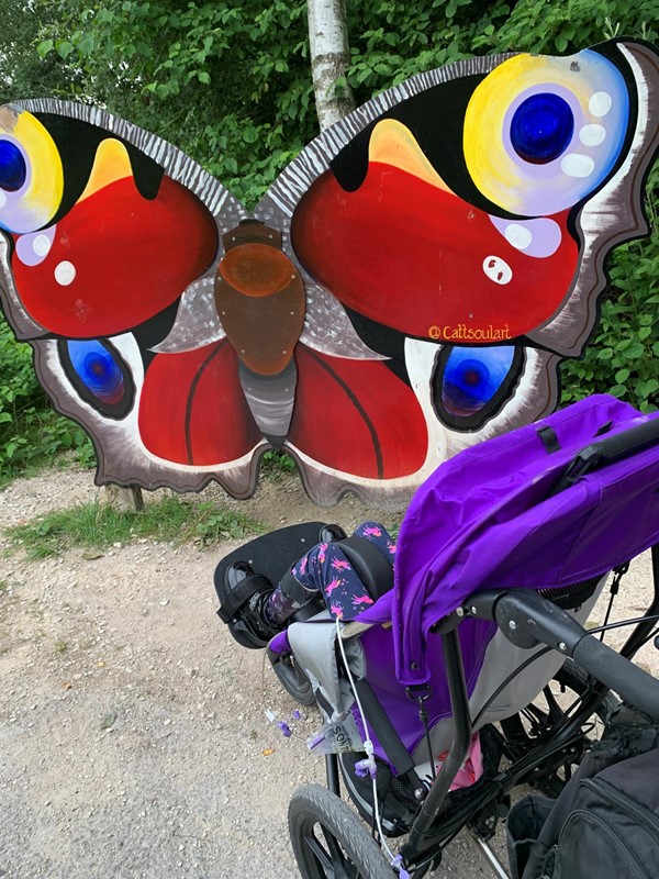 Picture of a giant butterfly model