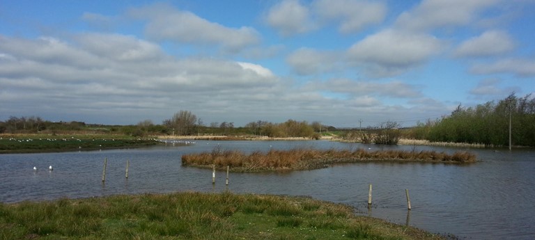 Filey Dams Nature Reserve