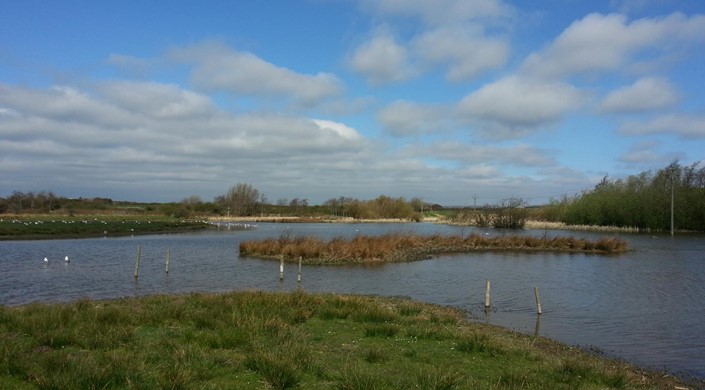 Filey Dams Nature Reserve