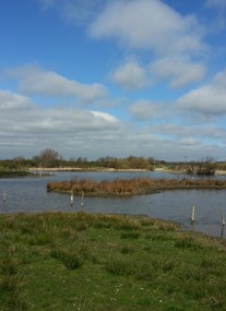 Filey Dams Nature Reserve