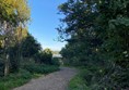 Upton House & Country Park