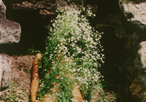 AD Tour RE/SISTERS: A Lens on Gender and Ecology