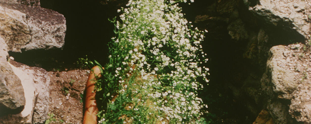 AD Tour RE/SISTERS: A Lens on Gender and Ecology article image