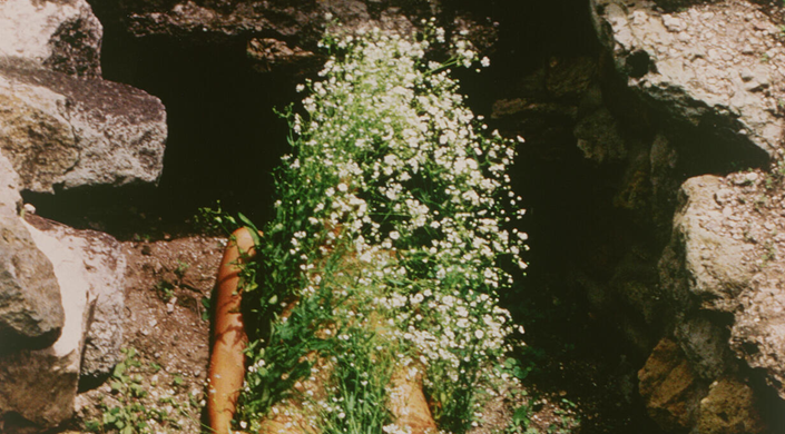 AD Tour RE/SISTERS: A Lens on Gender and Ecology
