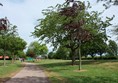 Dirt path going round field