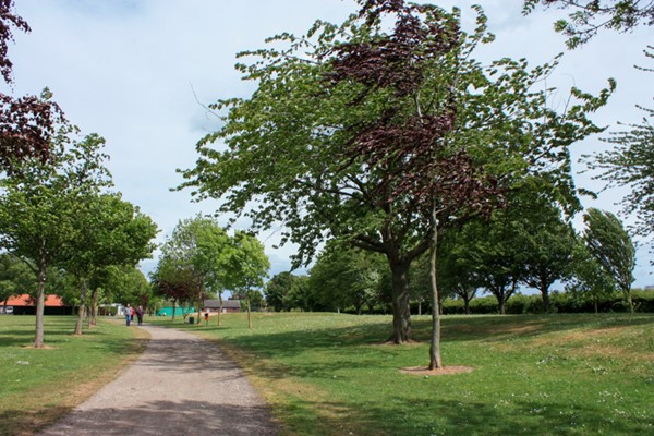 Dirt path going round field