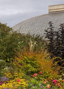 Sheffield Botanical Gardens 