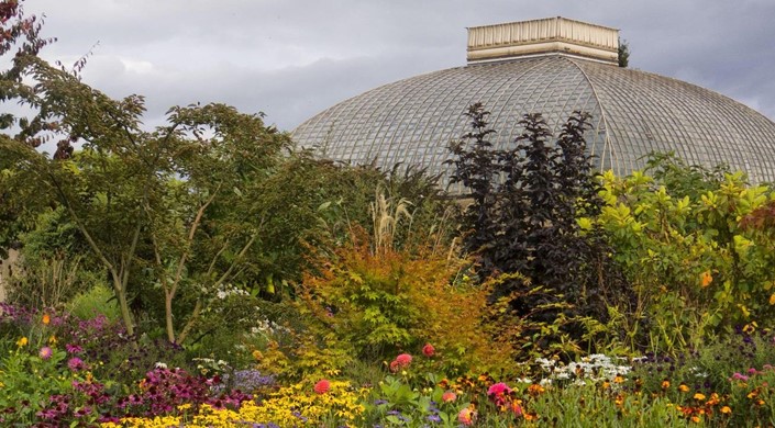 Sheffield Botanical Gardens 