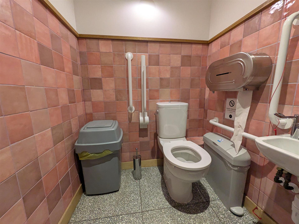 Image of accessible toilet - there is a bin in the transfer space