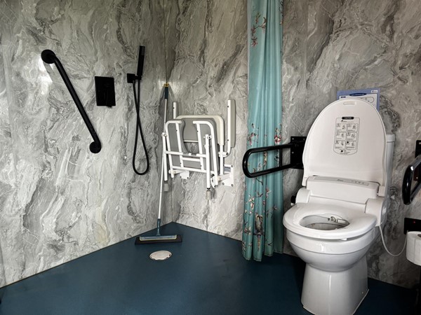 Toilet and shower