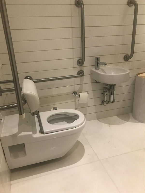 Accessible toiet