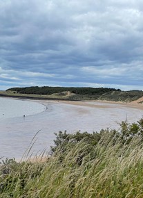 Gullane Bents