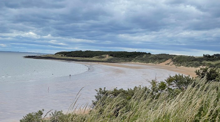 Gullane Bents