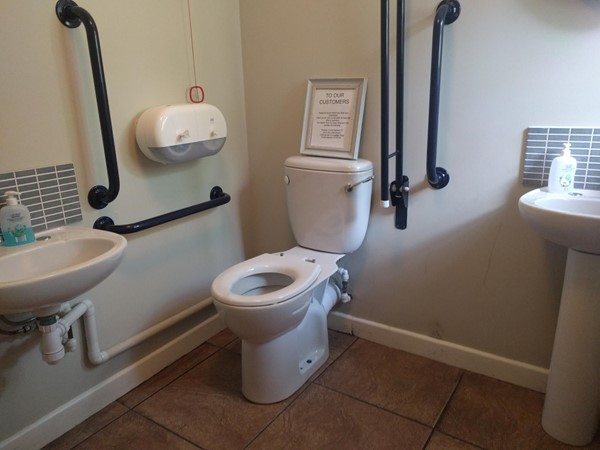 The toilet taken from just inside the door.