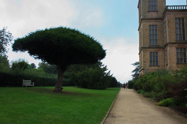 Path to the front of the house.