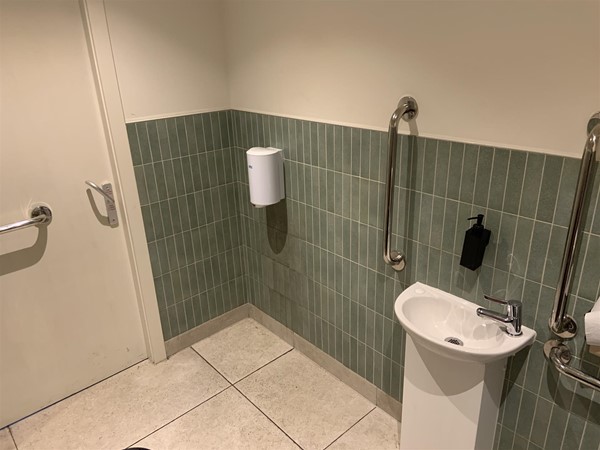 Image of the inside of the bathroom with the door on the left wall and the sink and hand dryer on the right wall. There is a handrail on the back of the door and it locks by lifting up the handle. There are vertical handrails on either side of the sink. The sink is a small pedestal sink and the tap has a short lever and there is liquid soap in a dispenser above the sink. There is a small hand dryer on the right wall towards the door.
