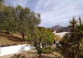 Image of a tree landscape.