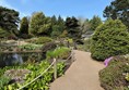 The wheelchair accessible path through the rock garden with a view across the stream