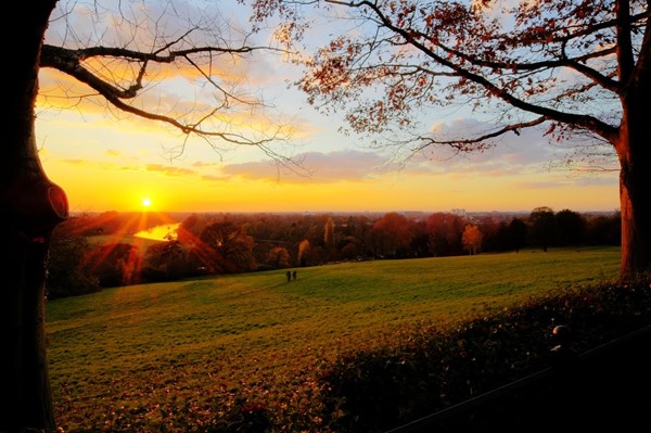 Image for review "Open Spaces, Woods, Flowers and Rivers - What More Could You Ask For?"